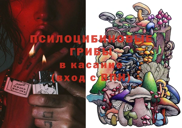 МДПВ Каменногорск