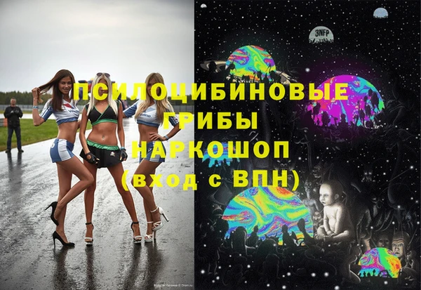 a pvp Кодинск