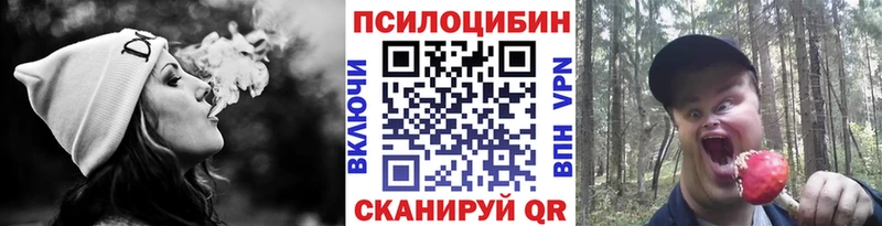hydra зеркало  купить  сайты  Урень  Псилоцибиновые грибы Magic Shrooms 